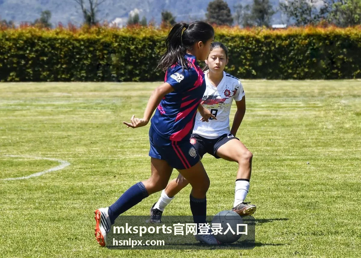 mksports官网登录入口资讯合辑：比分与赛程数据同步节奏说明配图