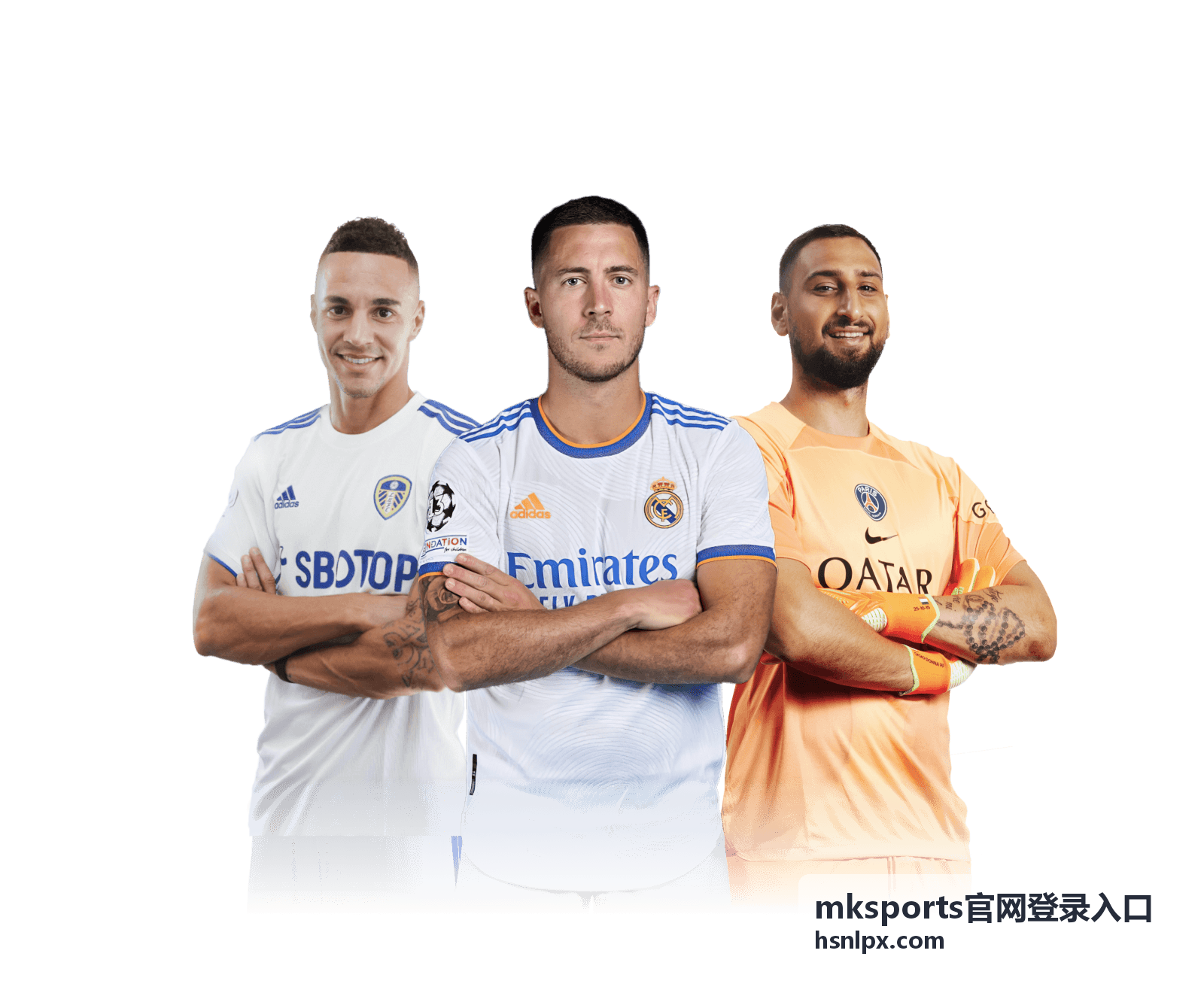 mksports官网登录入口 功能亮点展示配图